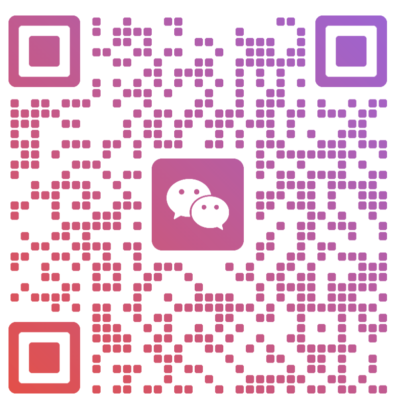 DONGGUAN GOBIZ INFORMATION CONSULTING CO LTD